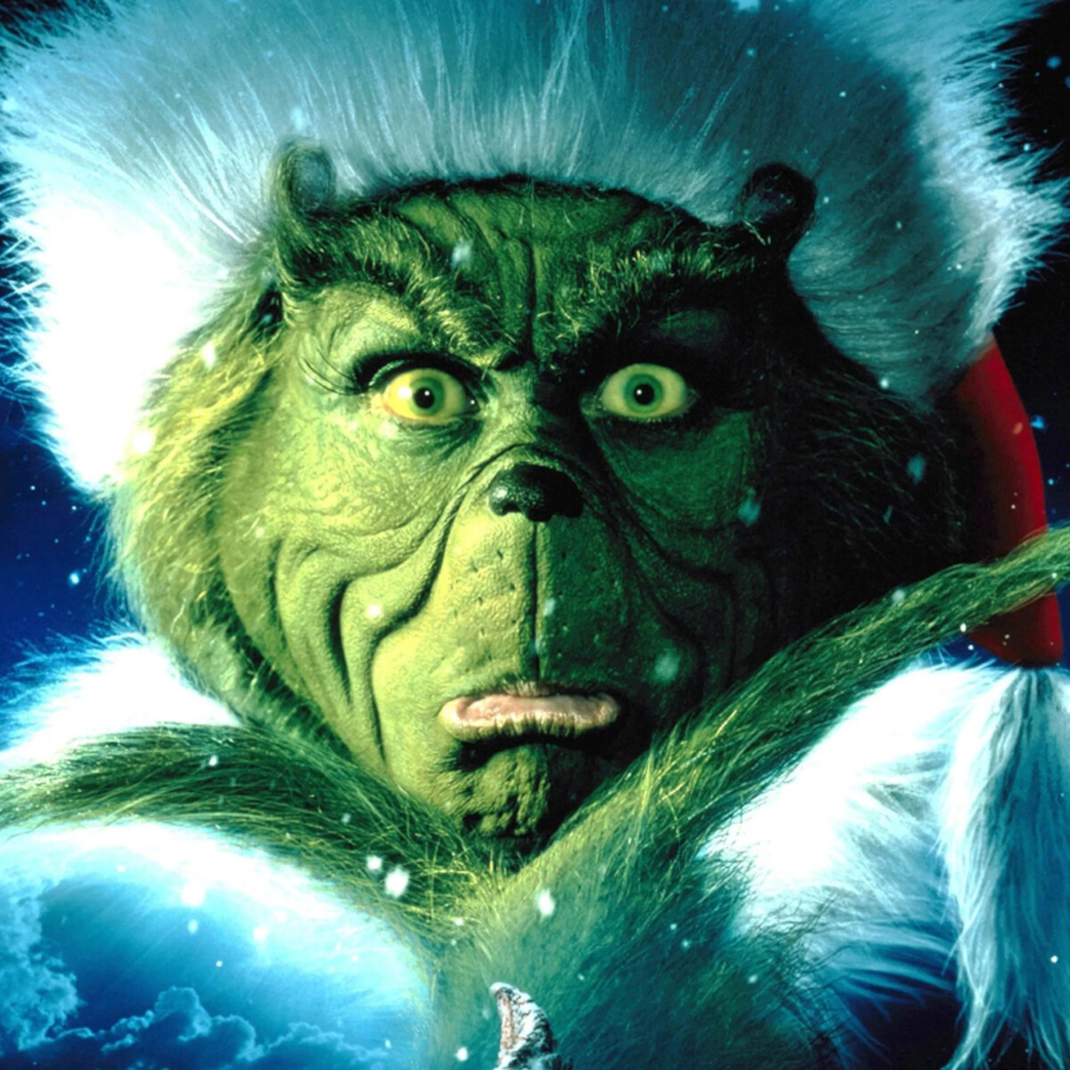 Avbc5 QFUF Mp N6 Ri Pg Fy RB4 Rsh UP