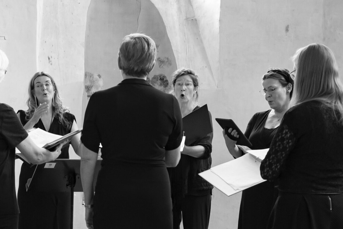 DSC 6704 kopieren scaled