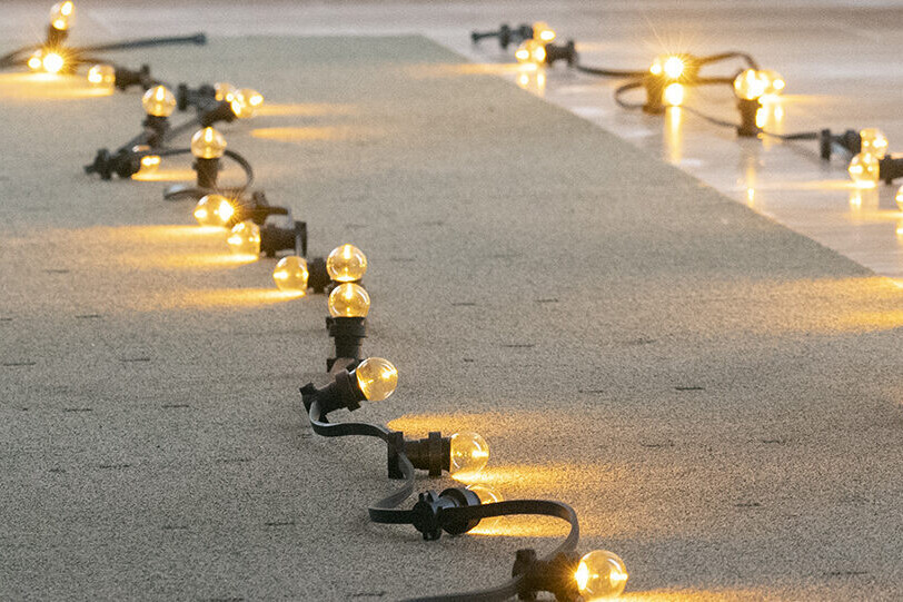 WMZ Ron Magielse LR12