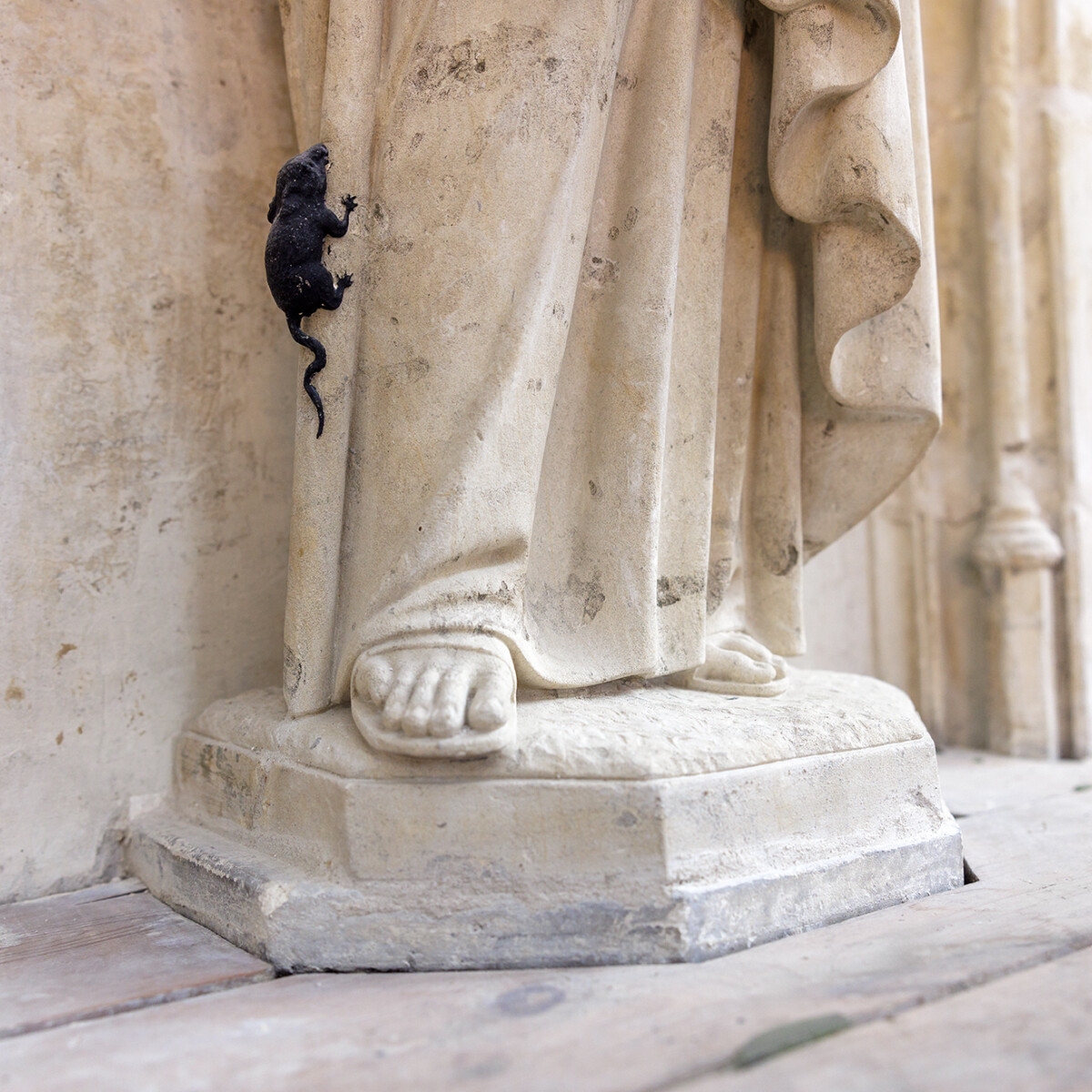 Grote Kerk Breda Foto Aad Hoogendoorn 251