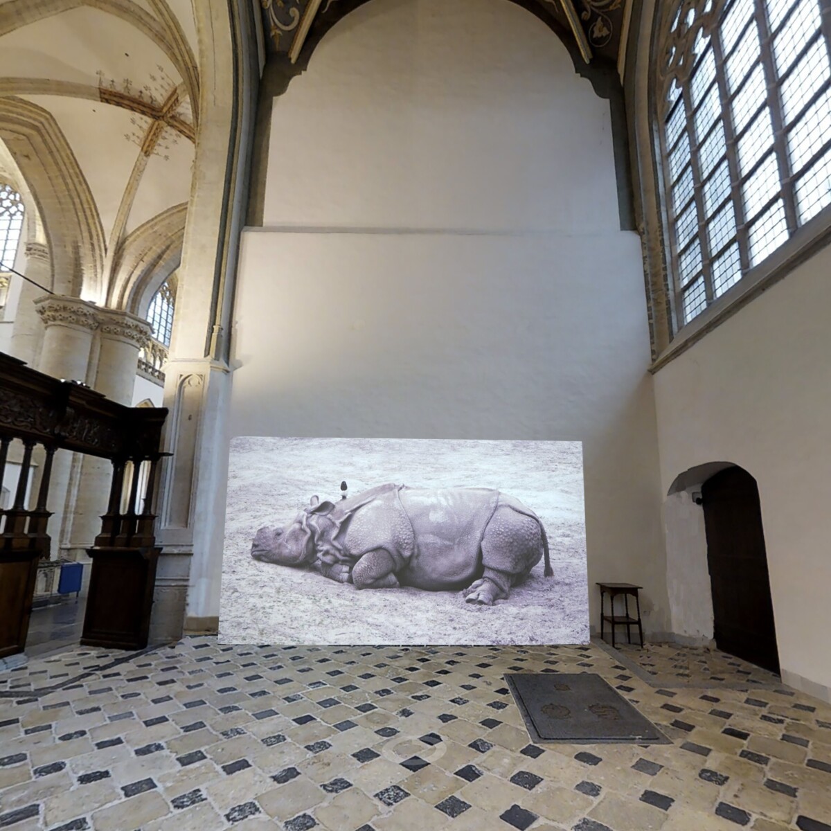 Impressie Requiem in Slow Motion Indische neushoorn by Marjan Laaper Grote Kerk Breda