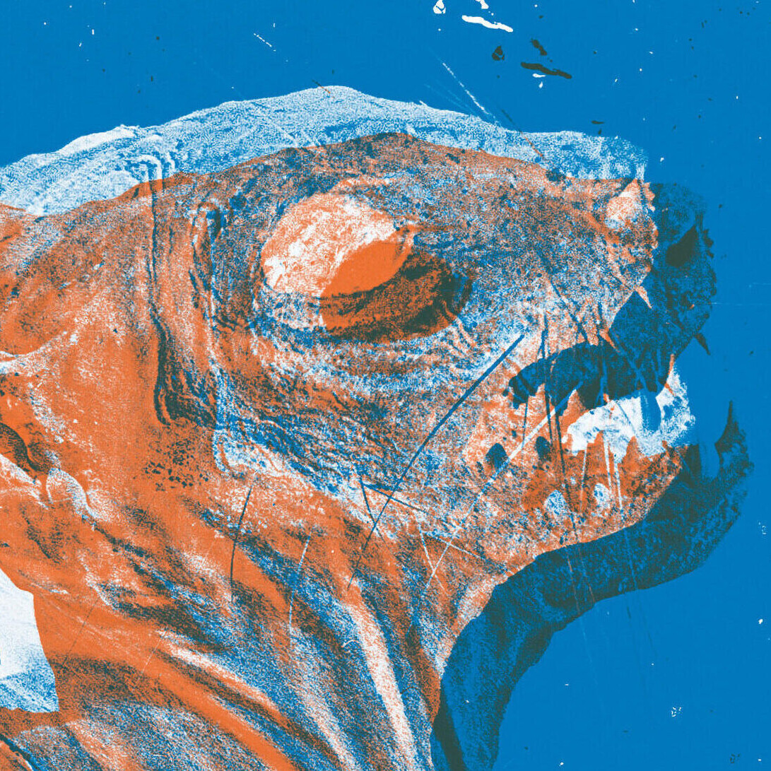 Uitsnede zonderlogo RGB