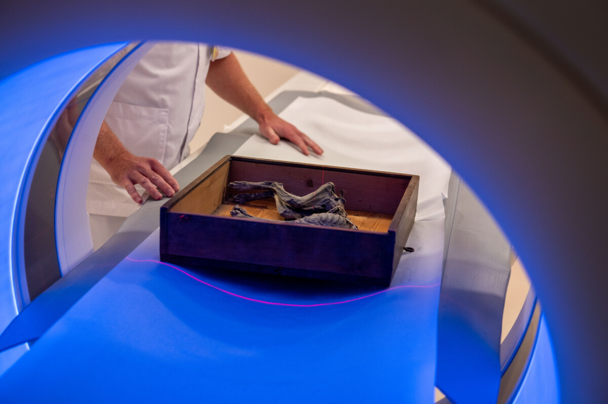 Mummiekat 34 PHOTE Dby Edwin Wiekens