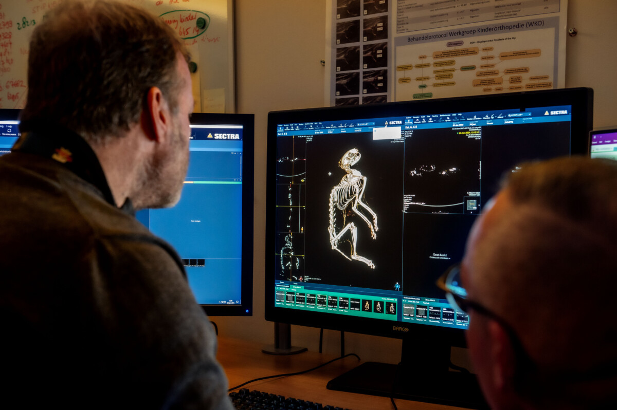 Mummiekat 41 PHOTE Dby Edwin Wiekens