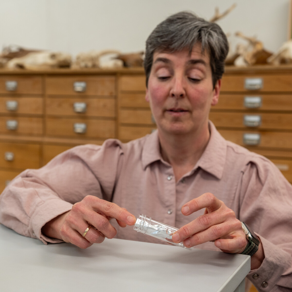 Mummiekat 70 PHOTE Dby Edwin Wiekens