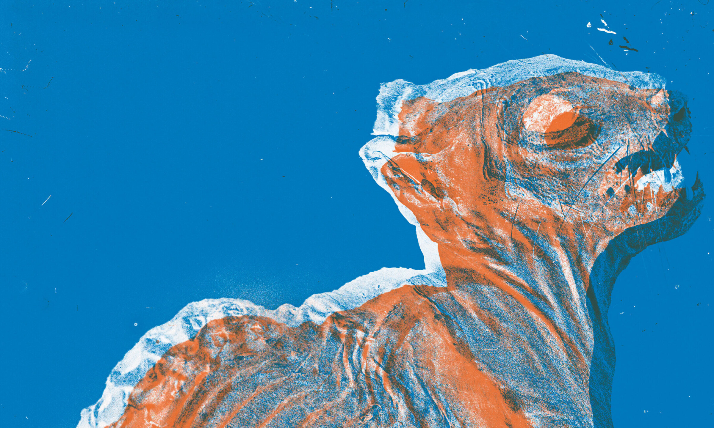 Uitsnede zonderlogo RGB