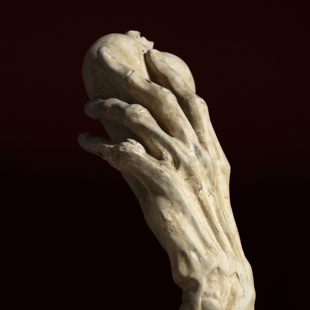 De Transi Memento mori tombe van Rene van Chalon 1548 1554 Ligier Richier collectie Cite de larchitecture et du 6